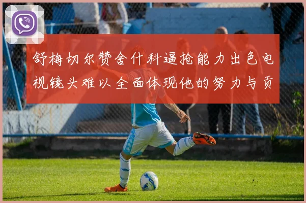 舒梅切尔赞舍什科逼抢能力出色电视镜头难以全面体现他的努力与贡献